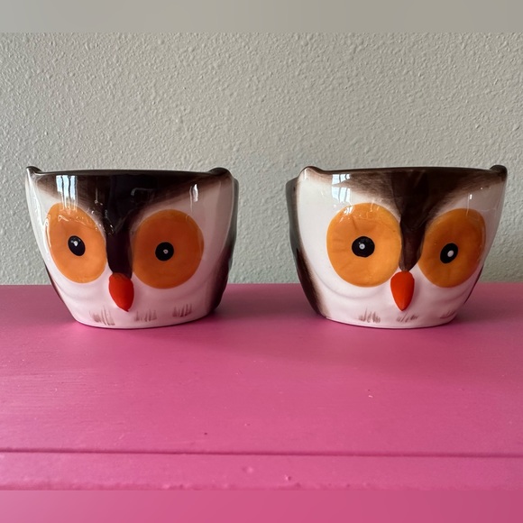 Other - Fall Owl Ramekins Set of 2 Oven Safe Bowls